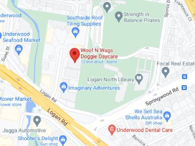 google maps view of the school for pets underwood location